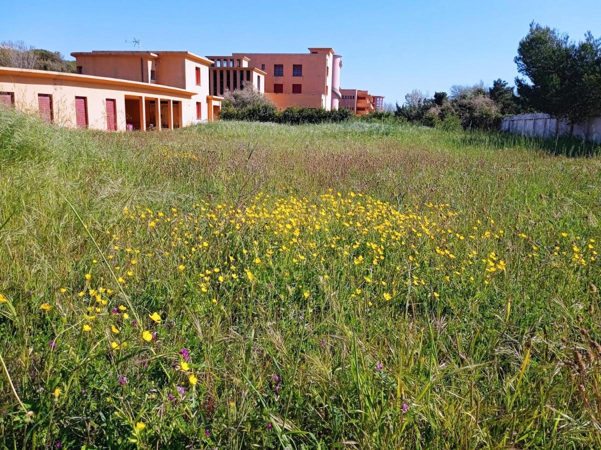 Apartmán Accesso Diretto Sul Mare Maredilucecala Calambrone Exteriér fotografie