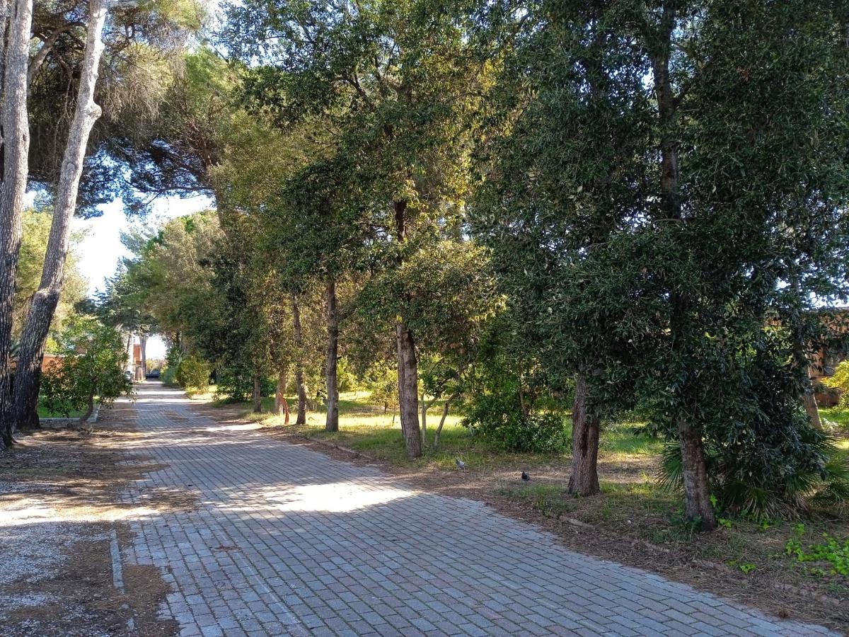 Apartmán Accesso Diretto Sul Mare Maredilucecala Calambrone Exteriér fotografie