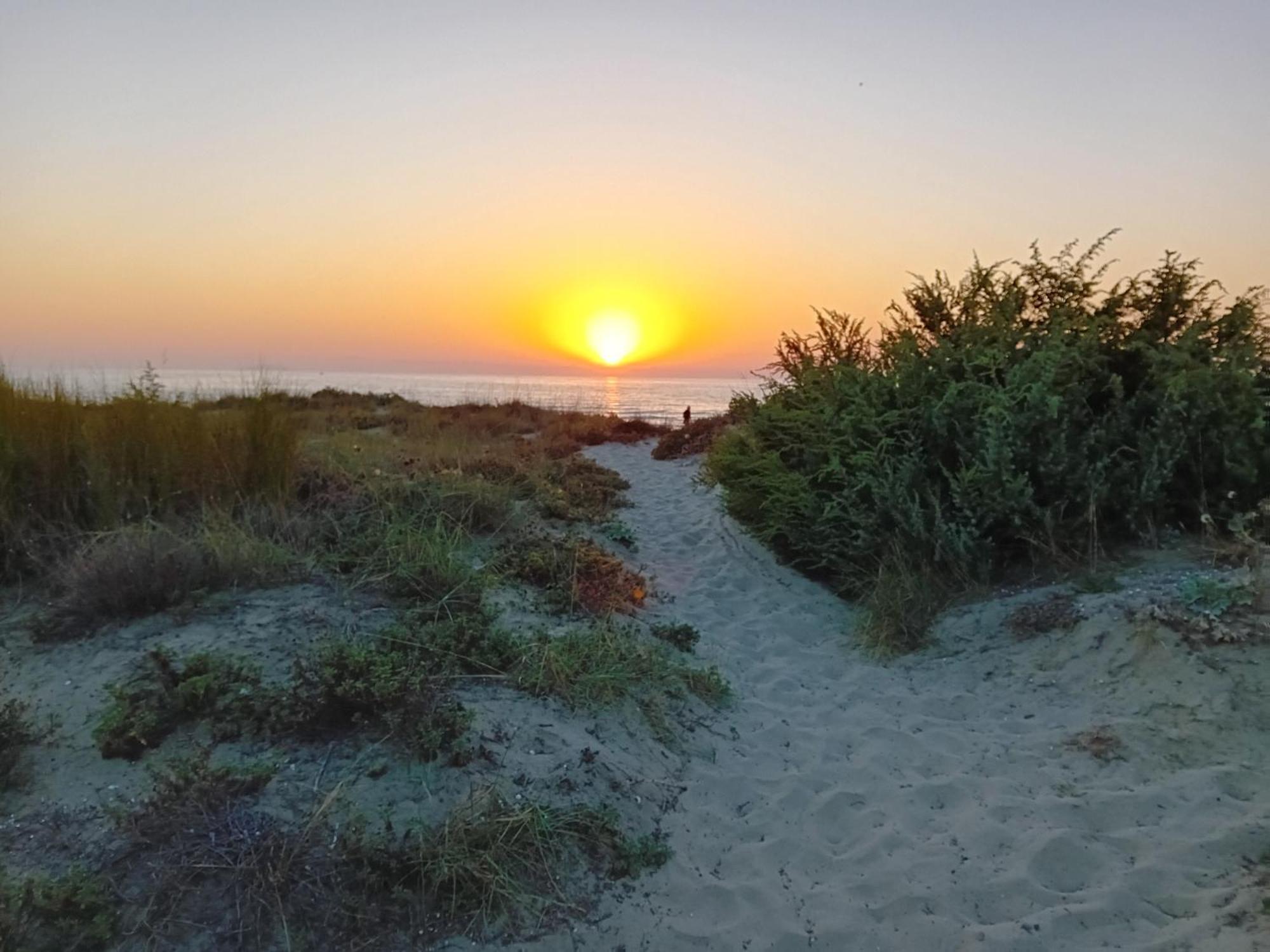 Apartmán Accesso Diretto Sul Mare Maredilucecala Calambrone Exteriér fotografie